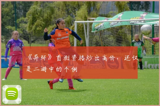 《异环》首测资格炒出高价，还仅是二游中的个例