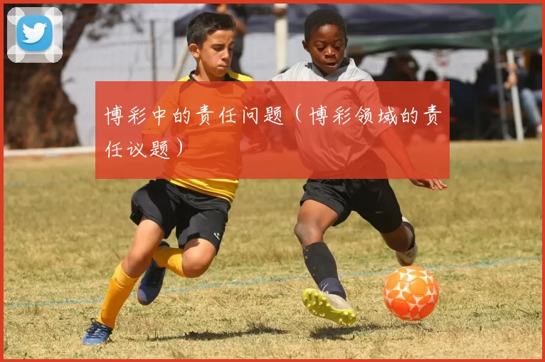 博彩中的责任问题（博彩领域的责任议题）