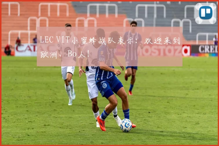 LEC VIT小蜜蜂战队表示：欢迎来到欧洲，Bo人！