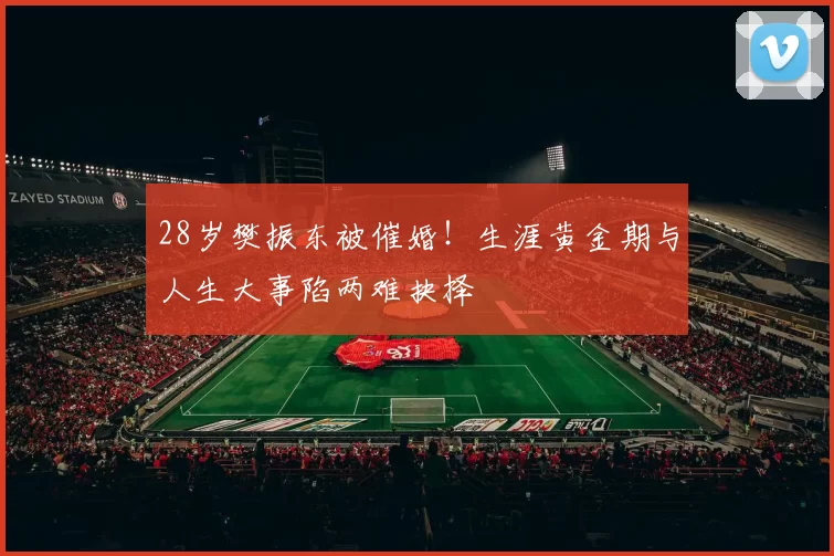 28岁樊振东被催婚！生涯黄金期与人生大事陷两难抉择