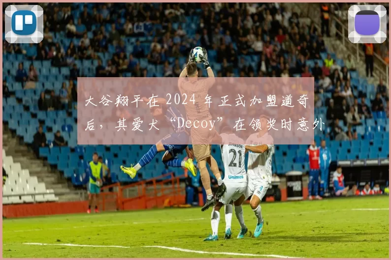 大谷翔平在 2024 年正式加盟道奇后，其爱犬“Decoy”在领奖时意外走红