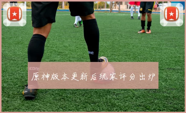 原神版本更新后玩家评分出炉