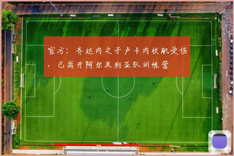 官方：齐达内之子卢卡内收肌受伤，已离开阿尔及利亚队训练营