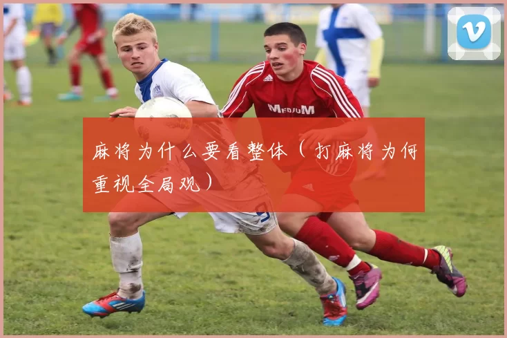 麻将为什么要看整体（打麻将为何重视全局观）